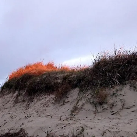Haus-pole-poppenspaeler-i-whg-06 * Sankt Peter-Ording